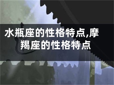 水瓶座的性格特点,摩羯座的性格特点