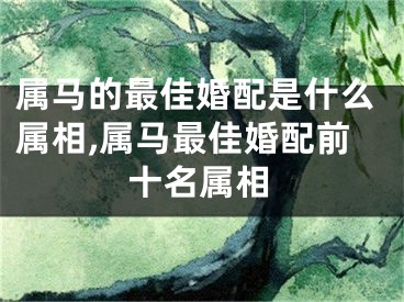 属马的最佳婚配是什么属相,属马最佳婚配前十名属相