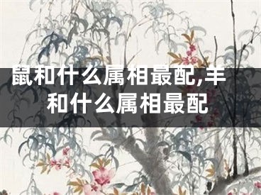 鼠和什么属相最配,羊和什么属相最配