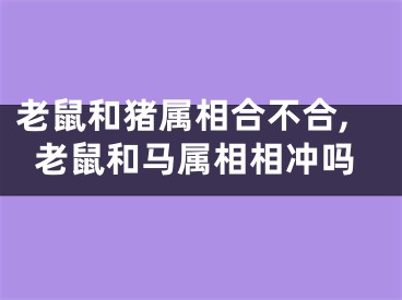 老鼠和猪属相合不合,老鼠和马属相相冲吗