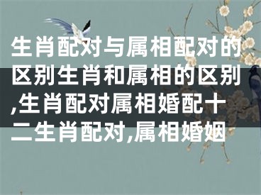 生肖配对与属相配对的区别生肖和属相的区别,生肖配对属相婚配十二生肖配对,属相婚姻