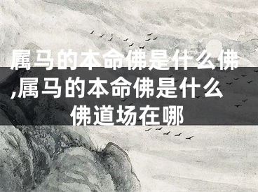 属马的本命佛是什么佛,属马的本命佛是什么佛道场在哪