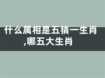 什么属相是五猜一生肖,哪五大生肖