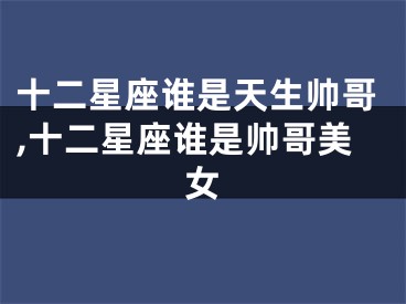 十二星座谁是天生帅哥,十二星座谁是帅哥美女