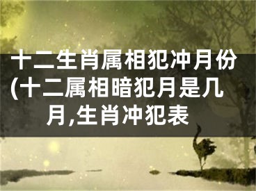 十二生肖属相犯冲月份(十二属相暗犯月是几月,生肖冲犯表