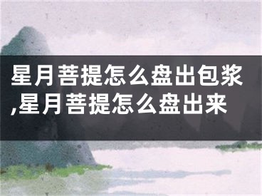 星月菩提怎么盘出包浆,星月菩提怎么盘出来