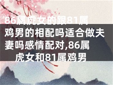 86属虎女的跟81属鸡男的相配吗适合做夫妻吗感情配对,86属虎女和81属鸡男