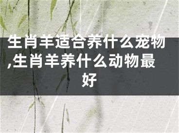 生肖羊适合养什么宠物,生肖羊养什么动物最好