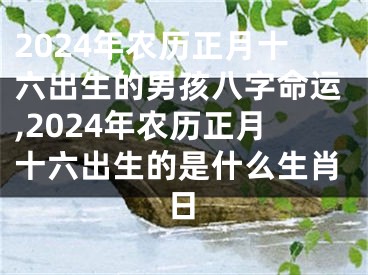 2024年农历正月十六出生的男孩八字命运,2024年农历正月十六出生的是什么生肖日