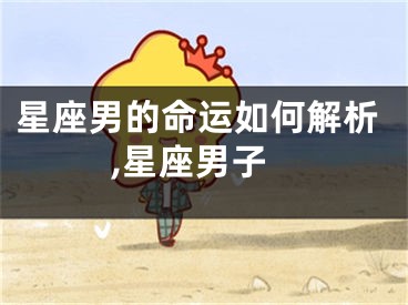 星座男的命运如何解析,星座男子
