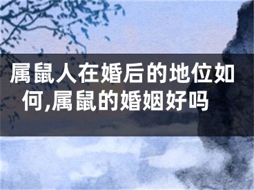 属鼠人在婚后的地位如何,属鼠的婚姻好吗