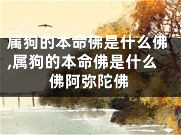 属狗的本命佛是什么佛,属狗的本命佛是什么佛阿弥陀佛