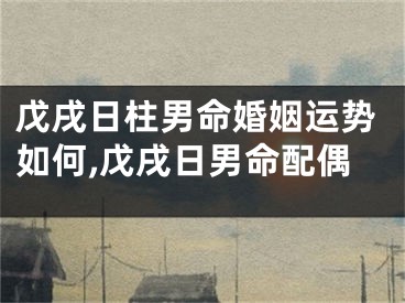 戊戌日柱男命婚姻运势如何,戊戌日男命配偶
