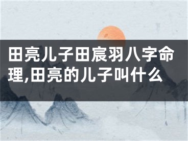 田亮儿子田宸羽八字命理,田亮的儿子叫什么