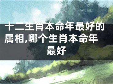 十二生肖本命年最好的属相,哪个生肖本命年最好