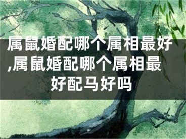 属鼠婚配哪个属相最好,属鼠婚配哪个属相最好配马好吗