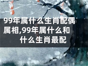 99年属什么生肖配偶属相,99年属什么和什么生肖最配