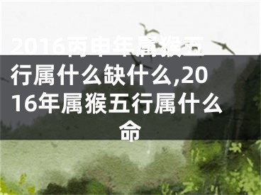 2016丙申年属猴五行属什么缺什么,2016年属猴五行属什么命