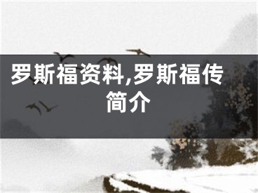 罗斯福资料,罗斯福传简介