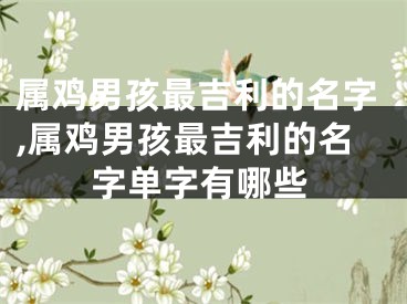 属鸡男孩最吉利的名字,属鸡男孩最吉利的名字单字有哪些