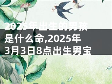 2025年出生的男孩是什么命,2025年3月3日8点出生男宝