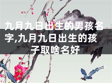 九月九日出生的男孩名字,九月九日出生的孩子取啥名好