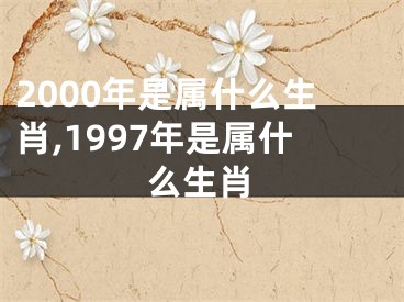 2000年是属什么生肖,1997年是属什么生肖