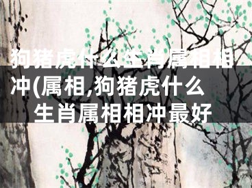 狗猪虎什么生肖属相相冲(属相,狗猪虎什么生肖属相相冲最好