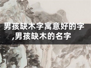 男孩缺木字寓意好的字,男孩缺木的名字