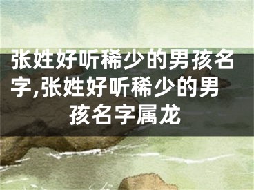 张姓好听稀少的男孩名字,张姓好听稀少的男孩名字属龙