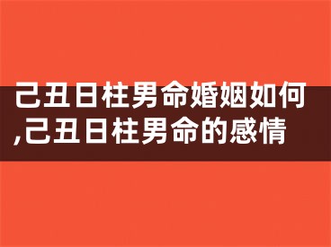 己丑日柱男命婚姻如何,己丑日柱男命的感情