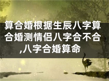 算合婚根据生辰八字算合婚测情侣八字合不合,八字合婚算命