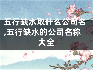 五行缺水取什么公司名,五行缺水的公司名称大全
