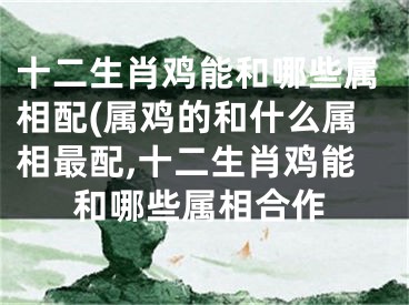 十二生肖鸡能和哪些属相配(属鸡的和什么属相最配,十二生肖鸡能和哪些属相合作