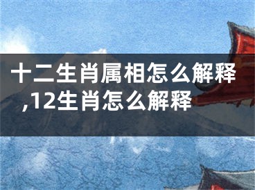十二生肖属相怎么解释,12生肖怎么解释