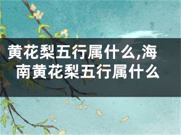 黄花梨五行属什么,海南黄花梨五行属什么