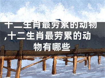 十二生肖最劳累的动物,十二生肖最劳累的动物有哪些