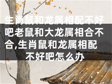 生肖鼠和龙属相配不好吧老鼠和大龙属相合不合,生肖鼠和龙属相配不好吧怎么办