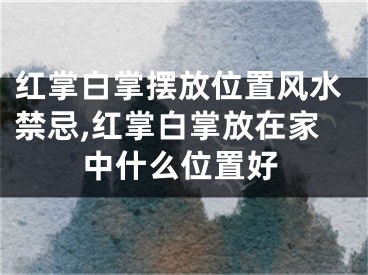 红掌白掌摆放位置风水禁忌,红掌白掌放在家中什么位置好