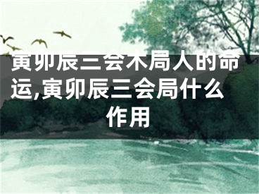 寅卯辰三会木局人的命运,寅卯辰三会局什么作用