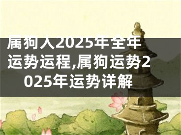 属狗人2025年全年运势运程,属狗运势2025年运势详解