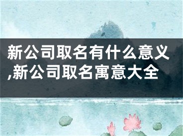 新公司取名有什么意义,新公司取名寓意大全