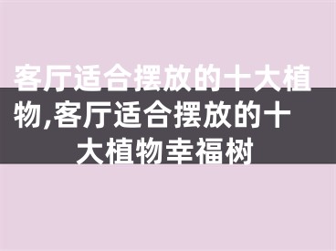 客厅适合摆放的十大植物,客厅适合摆放的十大植物幸福树