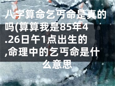 八字算命乞丐命是真的吗(算算我是85年4.26日午1点出生的,命理中的乞丐命是什么意思