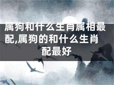 属狗和什么生肖属相最配,属狗的和什么生肖配最好