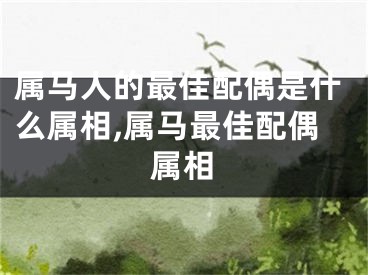 属马人的最佳配偶是什么属相,属马最佳配偶属相