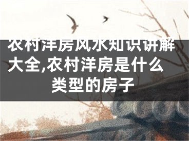 农村洋房风水知识讲解大全,农村洋房是什么类型的房子