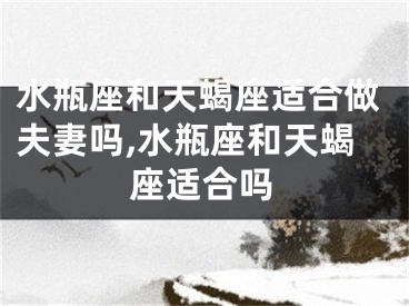水瓶座和天蝎座适合做夫妻吗,水瓶座和天蝎座适合吗