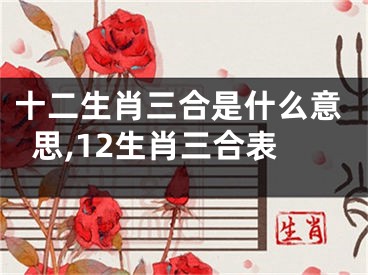 十二生肖三合是什么意思,12生肖三合表