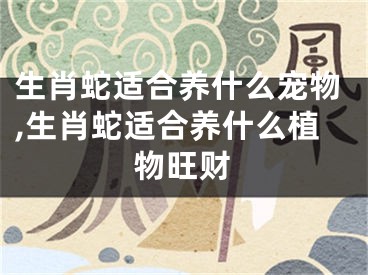 生肖蛇适合养什么宠物,生肖蛇适合养什么植物旺财
